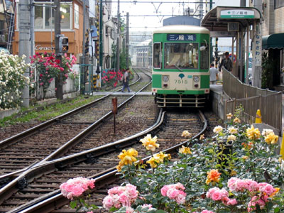 Minowa mountain landscape